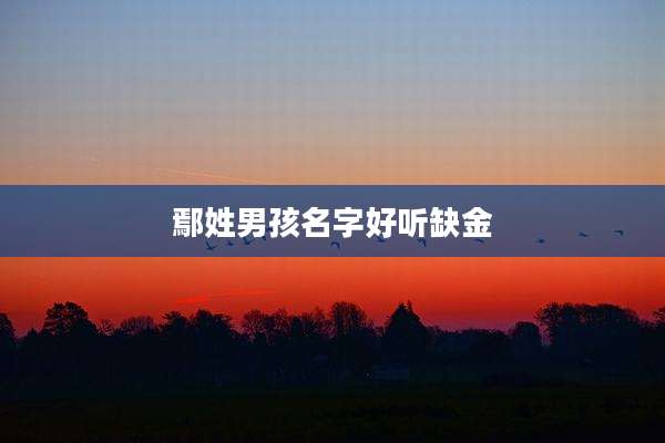 鄢姓男孩名字好听缺金