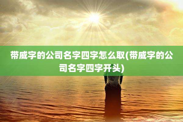 带威字的公司名字四字怎么取(带威字的公司名字四字开头)