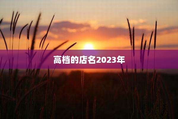 高档的店名2023年