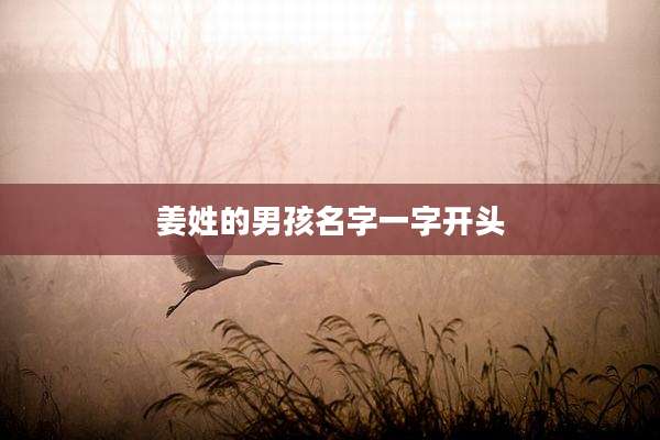 姜姓的男孩名字一字开头