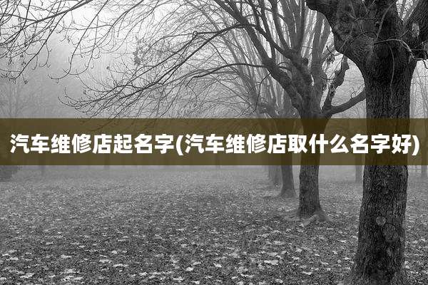 汽车维修店起名字(汽车维修店取什么名字好)