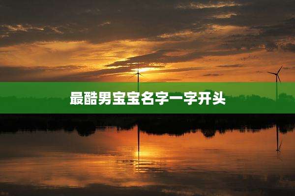 最酷男宝宝名字一字开头