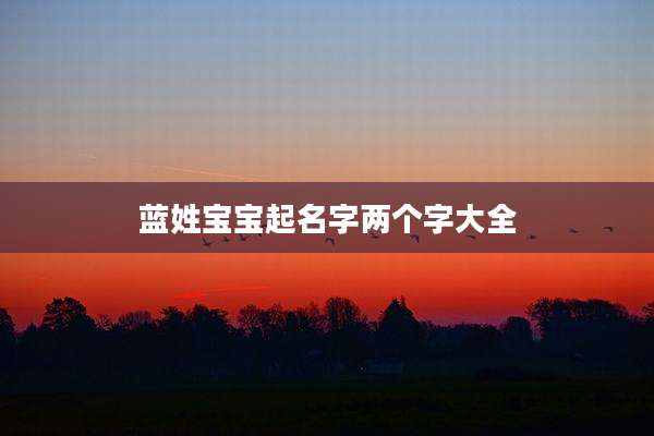 蓝姓宝宝起名字两个字大全