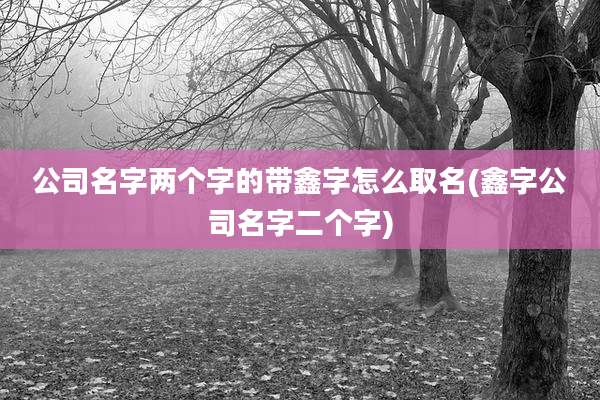 公司名字两个字的带鑫字怎么取名(鑫字公司名字二个字)