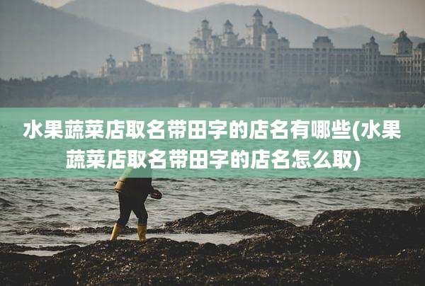 水果蔬菜店取名带田字的店名有哪些(水果蔬菜店取名带田字的店名怎么取)