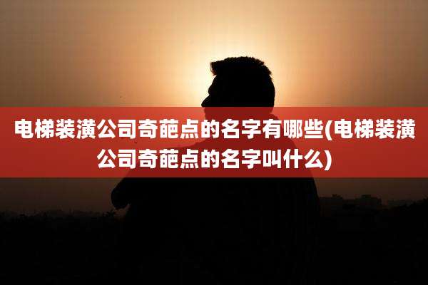 电梯装潢公司奇葩点的名字有哪些(电梯装潢公司奇葩点的名字叫什么)