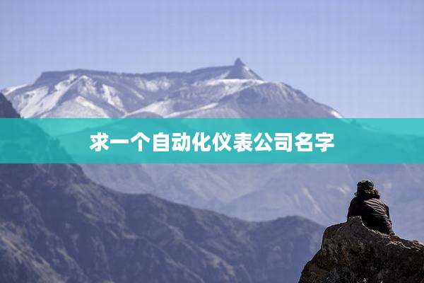 求一个自动化仪表公司名字