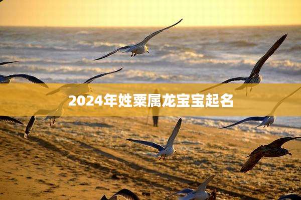 2024年姓粟属龙宝宝起名