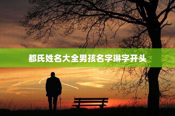 都氏姓名大全男孩名字琳字开头