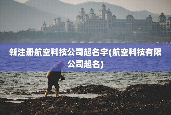 新注册航空科技公司起名字(航空科技有限公司起名)