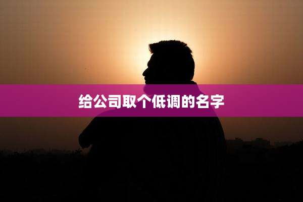 给公司取个低调的名字