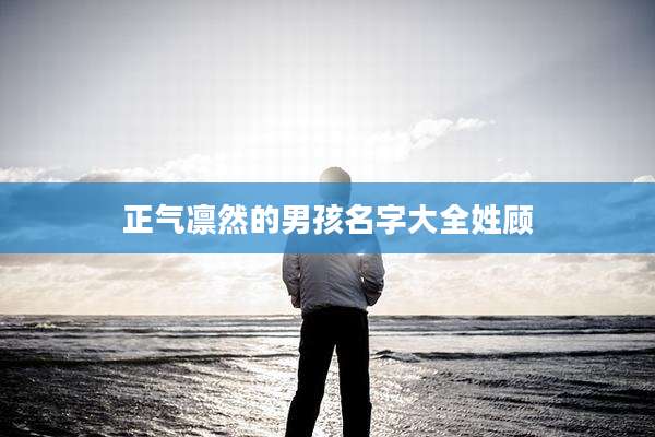 正气凛然的男孩名字大全姓顾