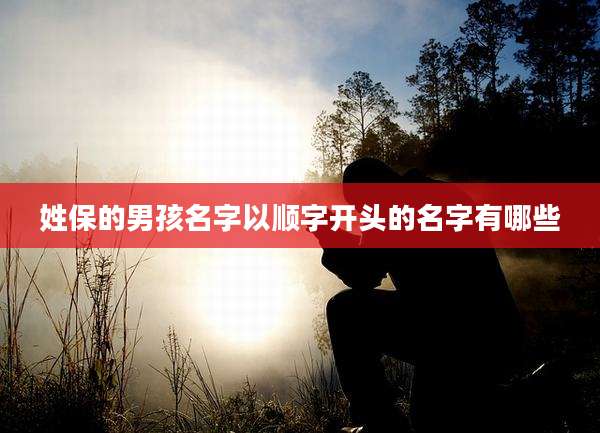 姓保的男孩名字以顺字开头的名字有哪些
