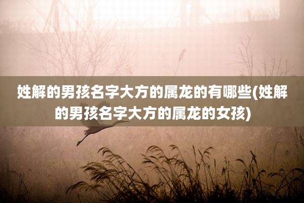 姓解的男孩名字大方的属龙的有哪些(姓解的男孩名字大方的属龙的女孩)