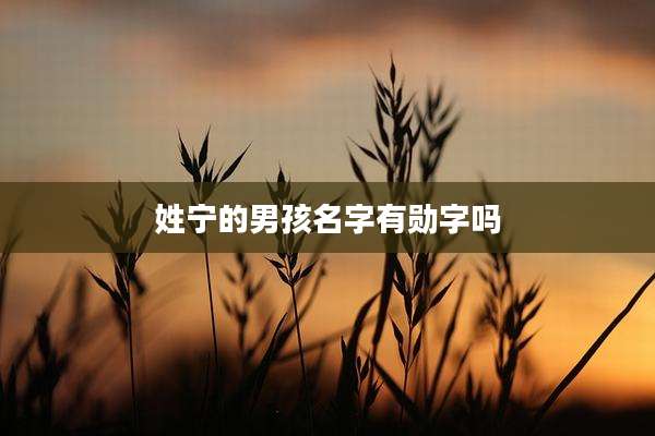 姓宁的男孩名字有勋字吗