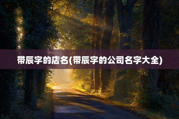 带辰字的店名(带辰字的公司名字大全)