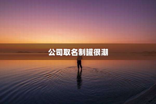 公司取名制罐很潮