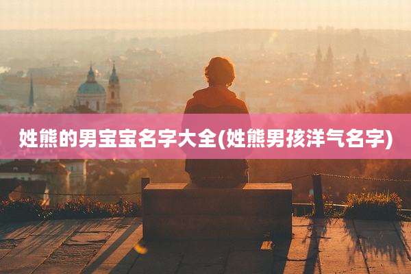 姓熊的男宝宝名字大全(姓熊男孩洋气名字)