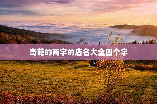 奇葩的两字的店名大全四个字