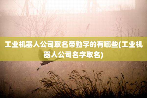 工业机器人公司取名带勤字的有哪些(工业机器人公司名字取名)