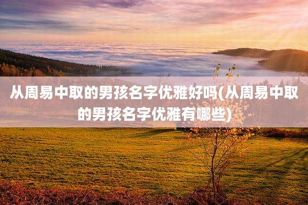 从周易中取的男孩名字优雅好吗(从周易中取的男孩名字优雅有哪些)