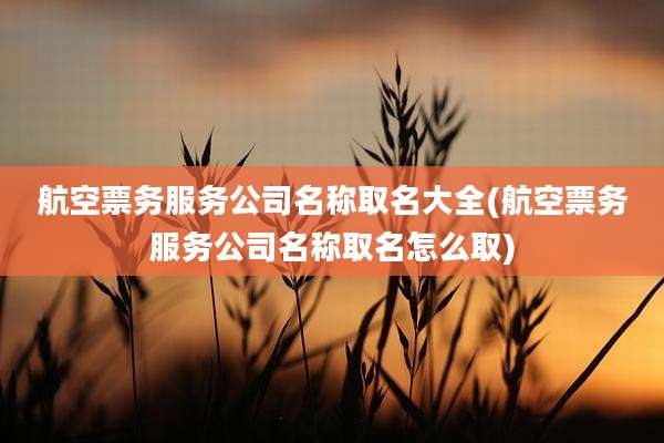 航空票务服务公司名称取名大全(航空票务服务公司名称取名怎么取)