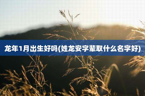 龙年1月出生好吗(姓龙安字辈取什么名字好)
