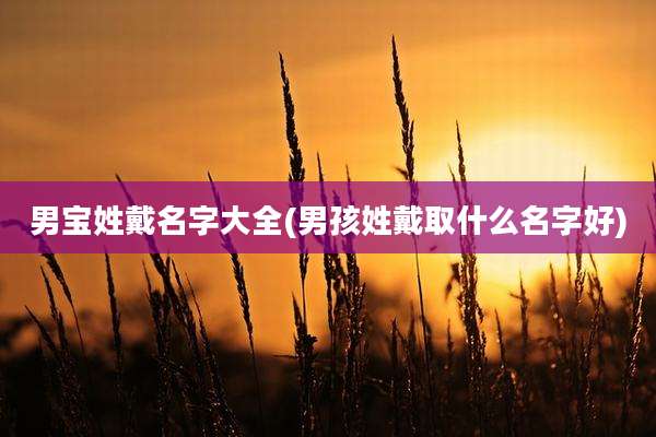 男宝姓戴名字大全(男孩姓戴取什么名字好)