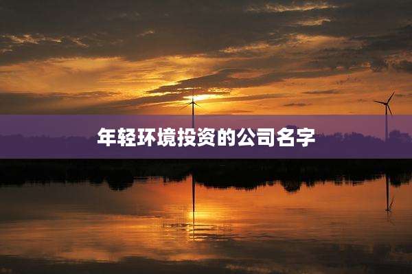 年轻环境投资的公司名字