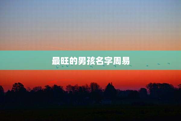 最旺的男孩名字周易