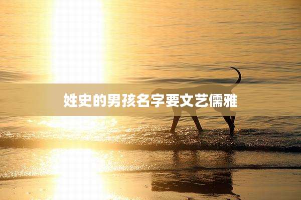 姓史的男孩名字要文艺儒雅