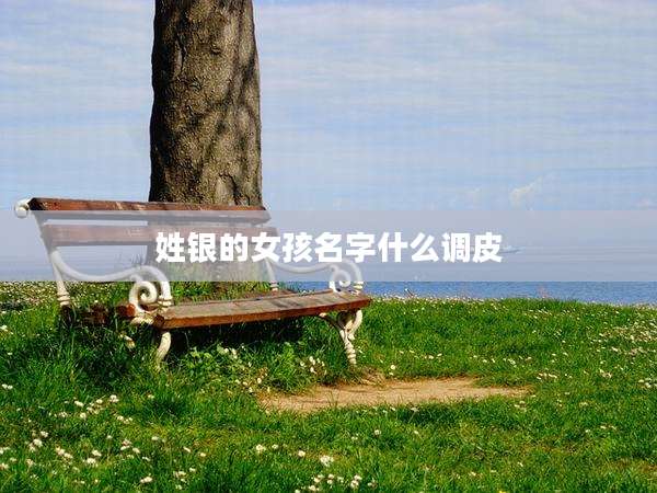 姓银的女孩名字什么调皮