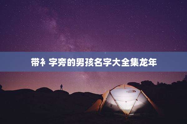 带衤字旁的男孩名字大全集龙年
