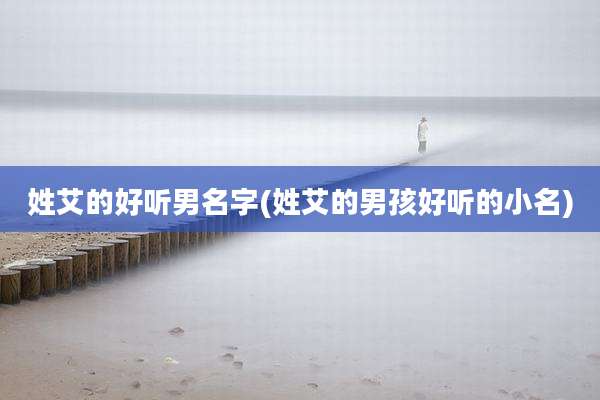 姓艾的好听男名字(姓艾的男孩好听的小名)