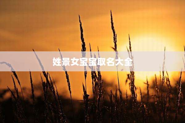 姓景女宝宝取名大全