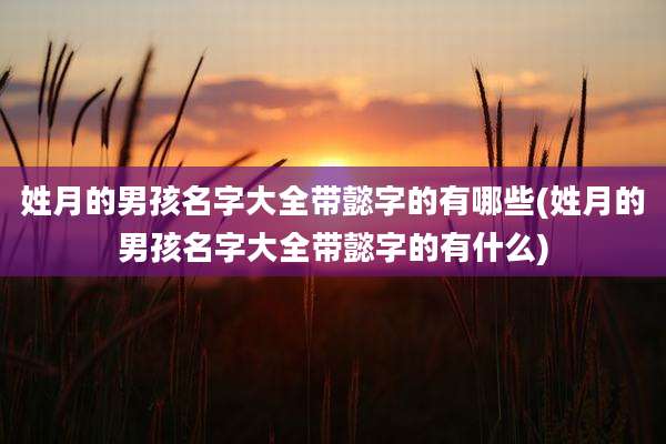 姓月的男孩名字大全带懿字的有哪些(姓月的男孩名字大全带懿字的有什么)
