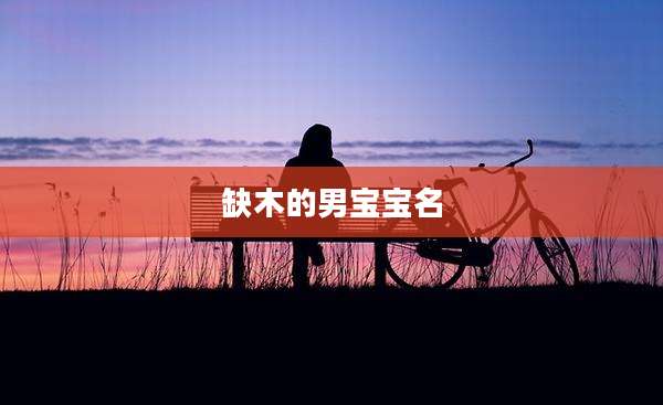 缺木的男宝宝名