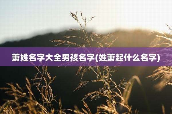 萧姓名字大全男孩名字(姓萧起什么名字)