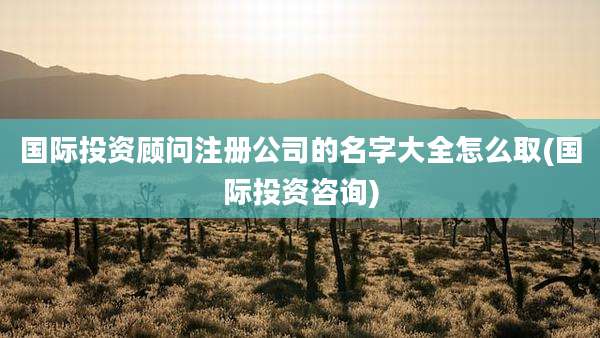 国际投资顾问注册公司的名字大全怎么取(国际投资咨询)