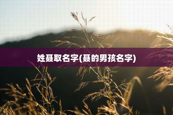 姓聂取名字(聂的男孩名字)