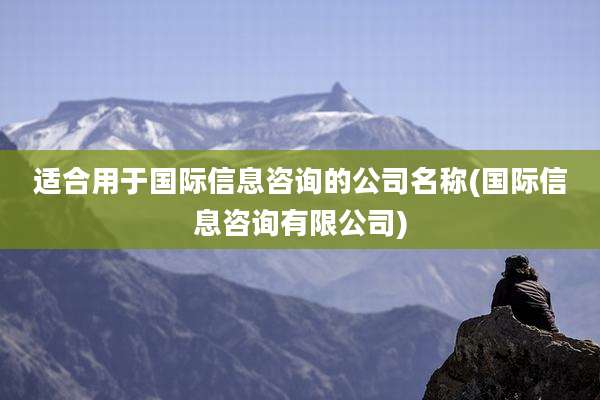 适合用于国际信息咨询的公司名称(国际信息咨询有限公司)