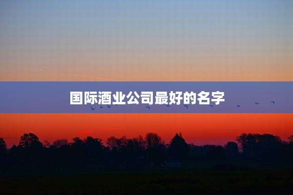 国际酒业公司最好的名字