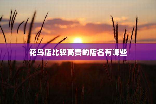 花鸟店比较高贵的店名有哪些