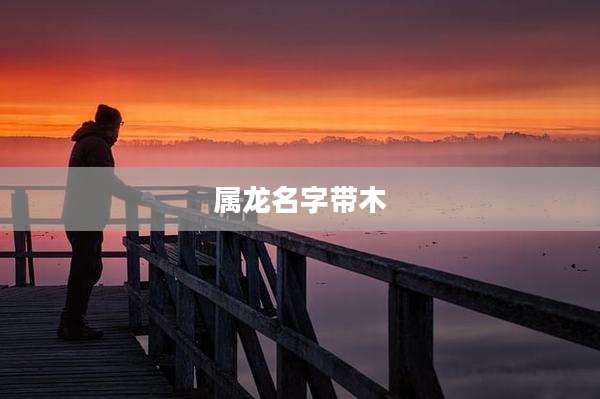 属龙名字带木