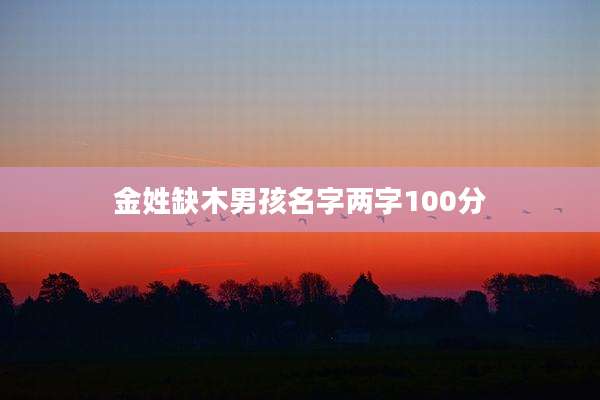 金姓缺木男孩名字两字100分