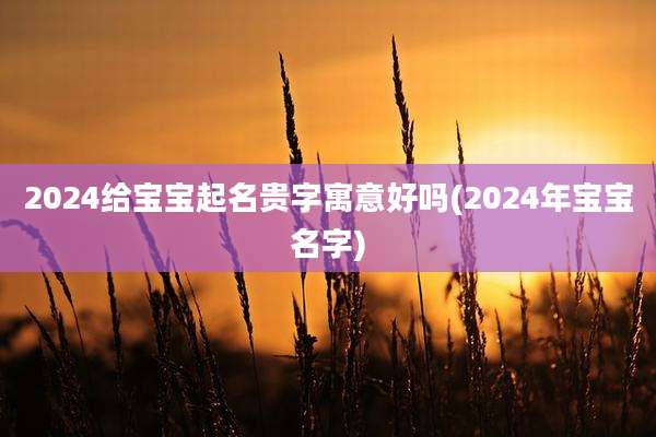 2024给宝宝起名贵字寓意好吗(2024年宝宝名字)