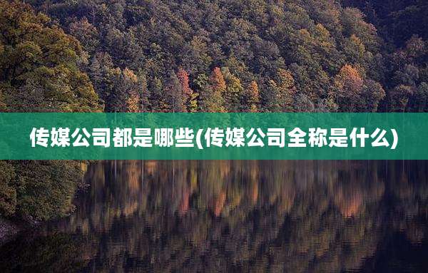 传媒公司都是哪些(传媒公司全称是什么)