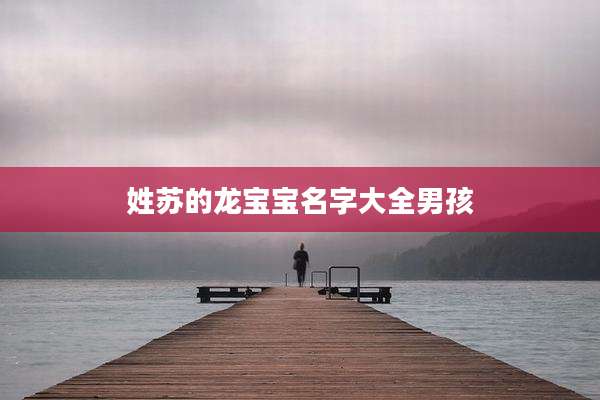 姓苏的龙宝宝名字大全男孩