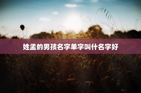 姓孟的男孩名字单字叫什名字好