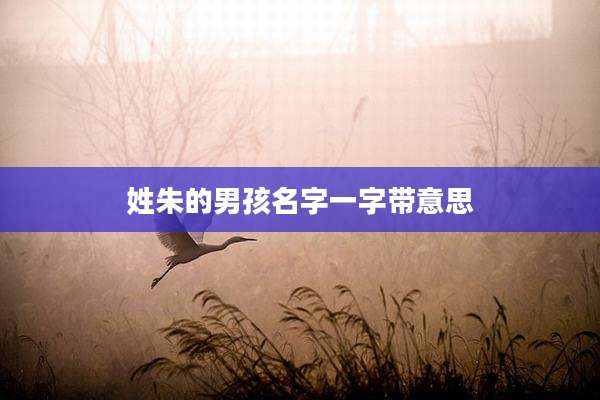 姓朱的男孩名字一字带意思